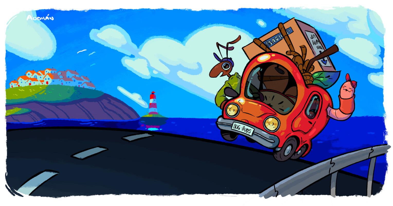 Buggy Roadtrip